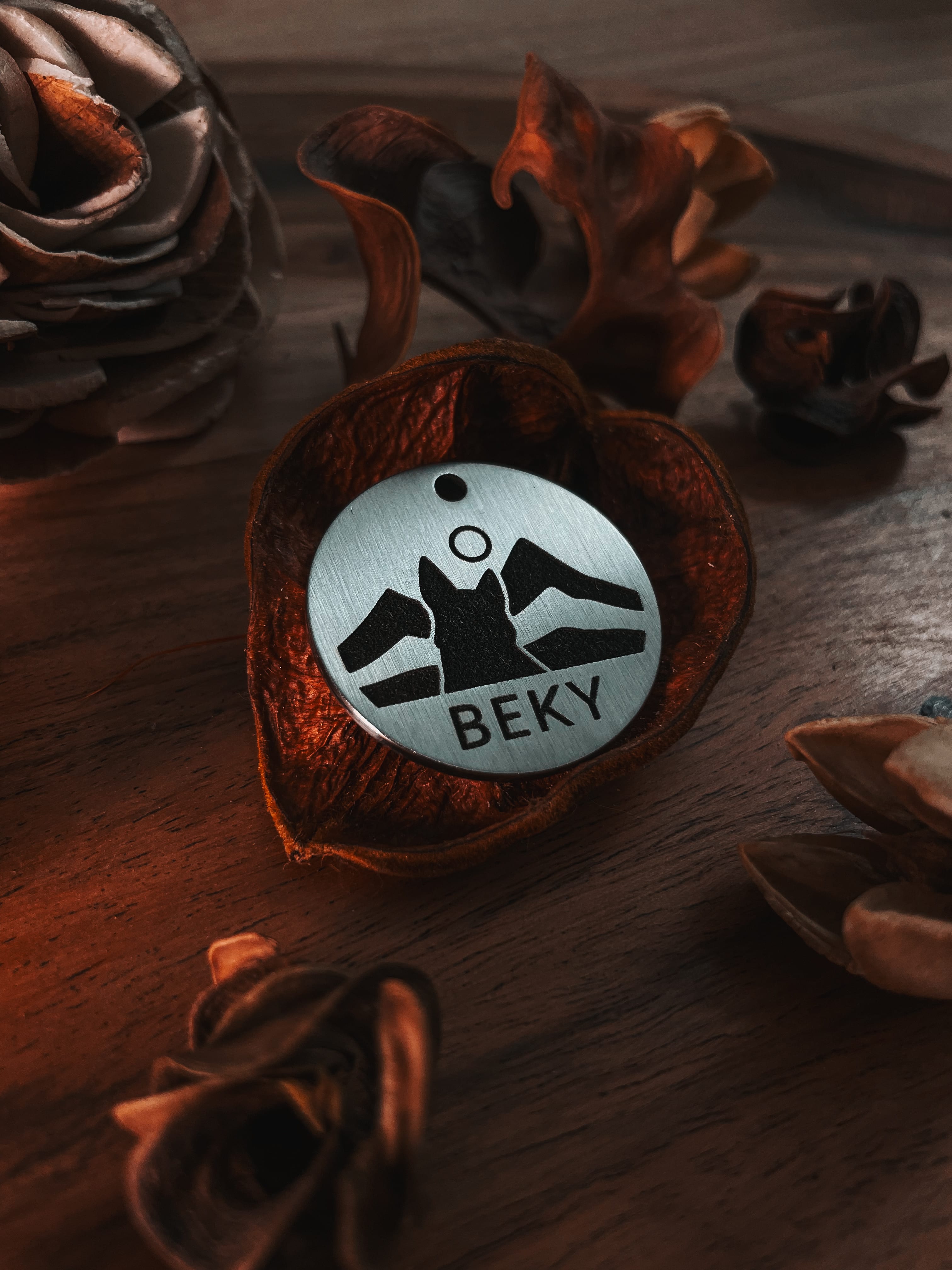 Psí známka Psi-ID – mosazný přívěsek s hlubokým gravírováním